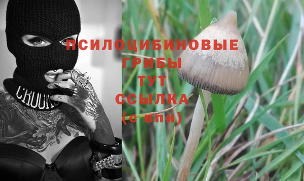 гидропоника Абдулино