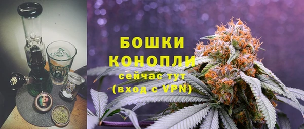 PSILOCYBIN Абинск